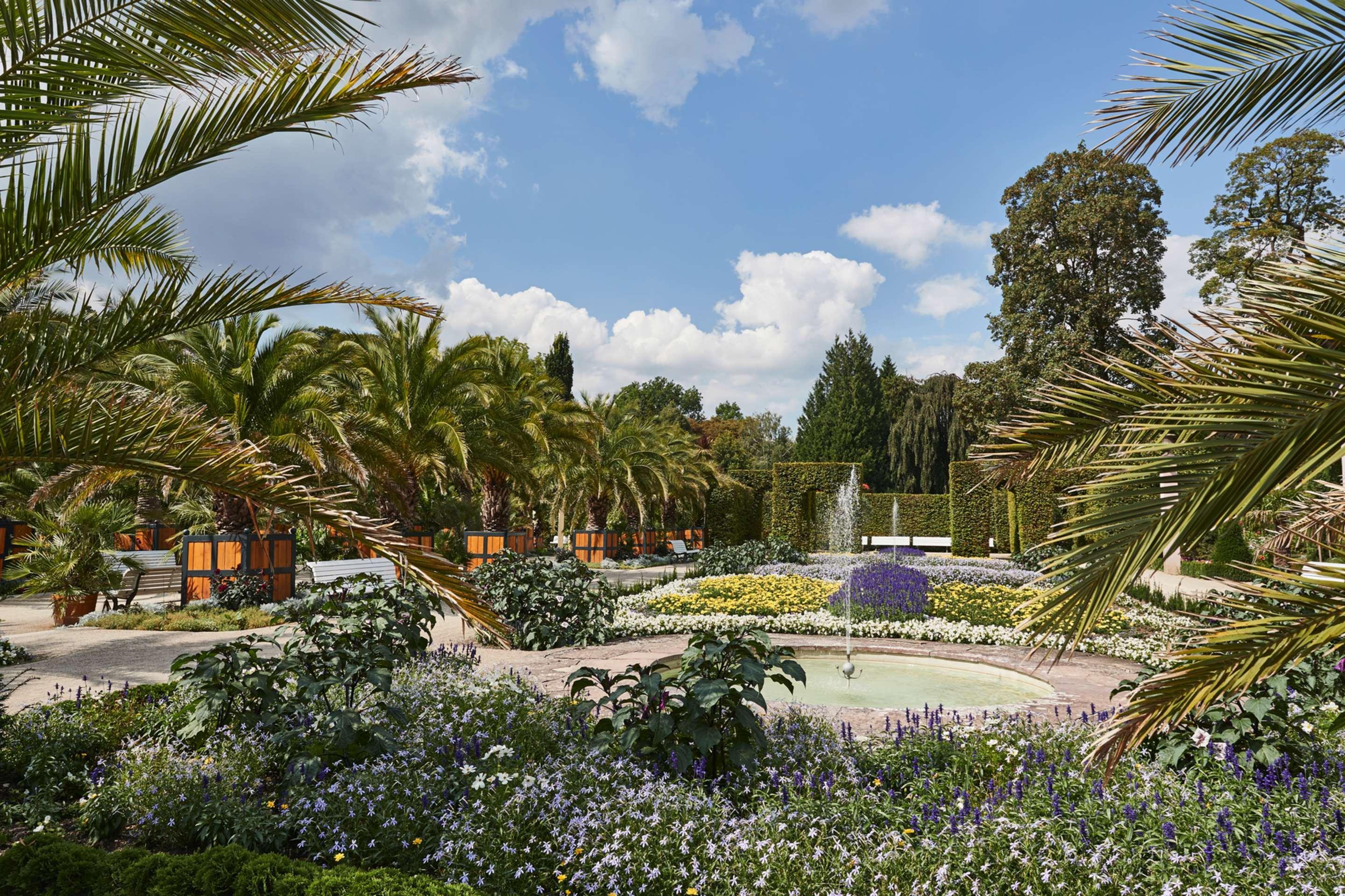 Steigenberger Hotel & Spa Bad Pyrmont Bagian luar foto The park